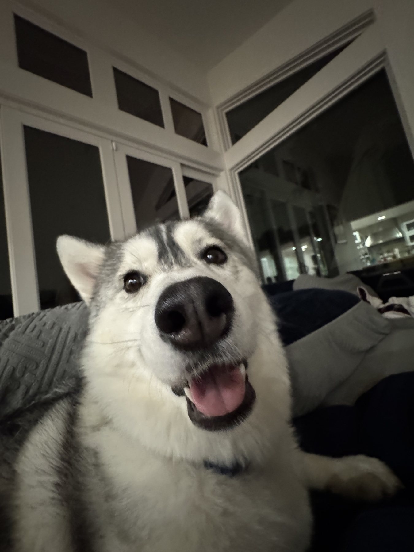 Echo smiling close to the camera