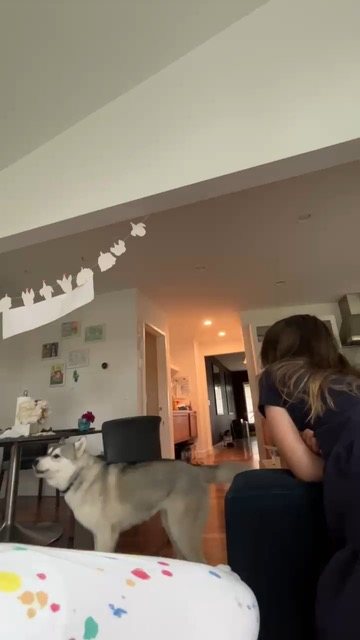Echo walking through a living room