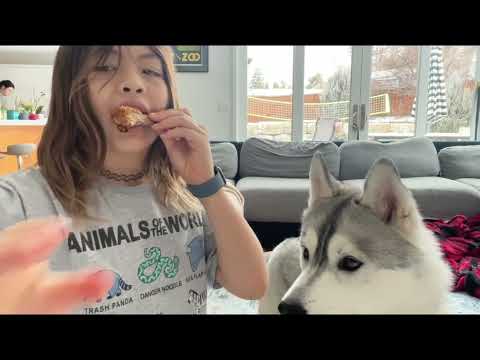 Food??? Nope! video thumbnail from Echo's YouTube channel